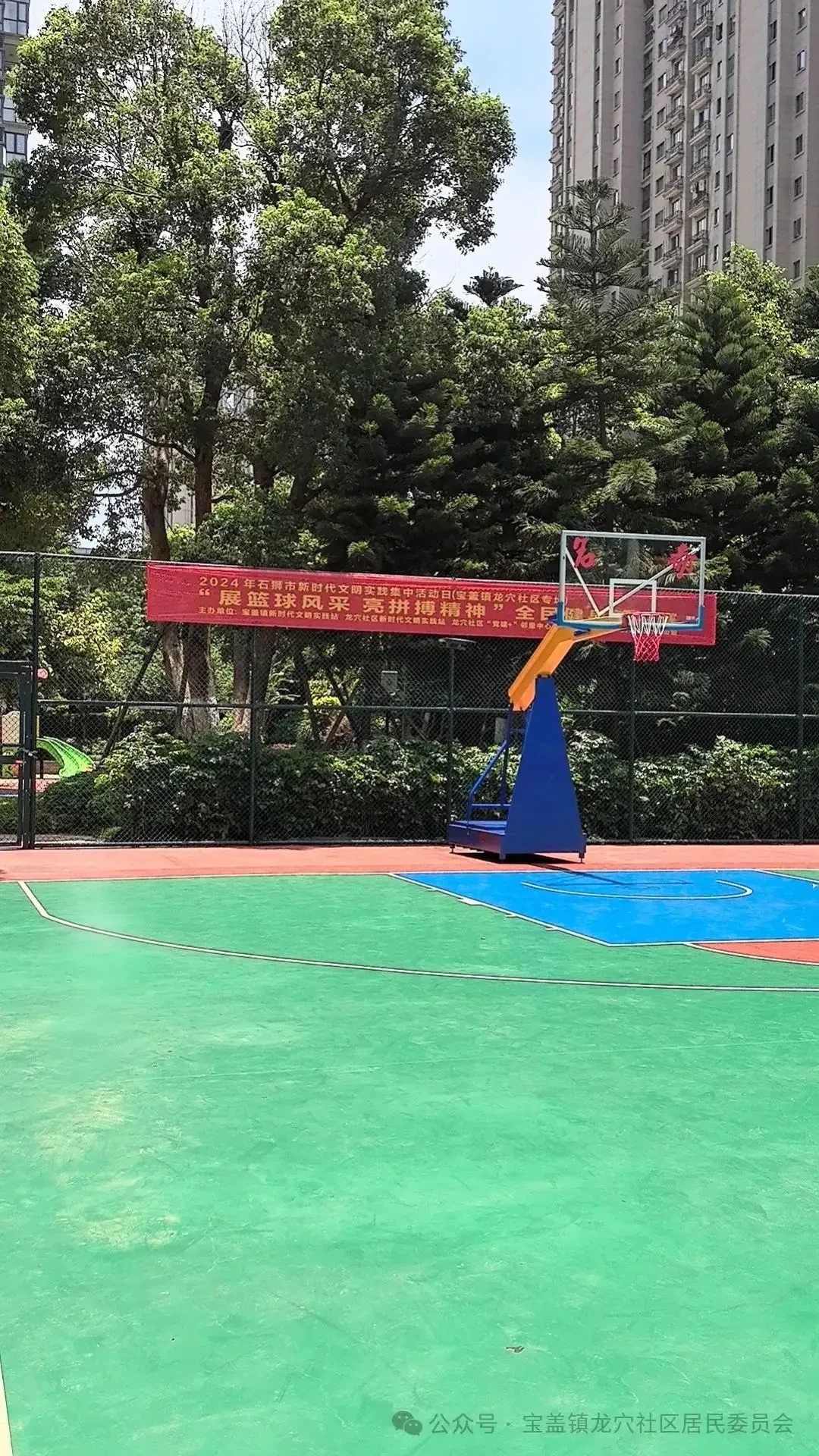 篮球训练法读后感怎么写_2
